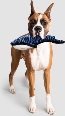 Show full view: Tuffy's Ocean Creatures Whale Wesley Squeaky Plush Dog Toy slide 3 of 6