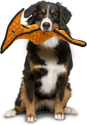 Show full view: Tuffy's Pterodactyl Dino Squeaky Plush Dog Toy slide 3 of 9