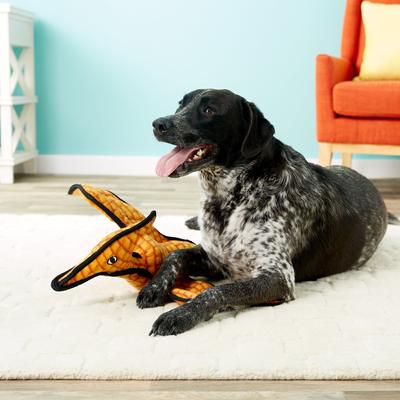 Show full view: Tuffy's Pterodactyl Dino Squeaky Plush Dog Toy slide 4 of 9