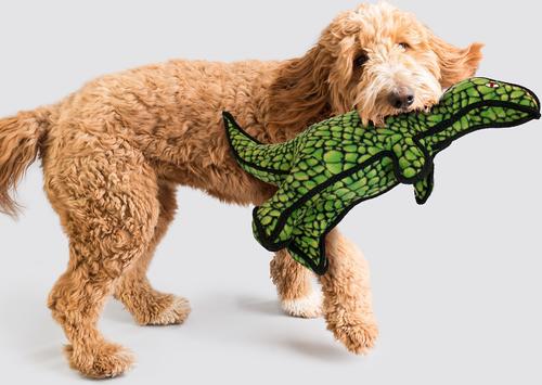 Show full view: Tuffy's T-Rex Dinosaur Plush Dog Toy, T-Rex slide 3 of 11