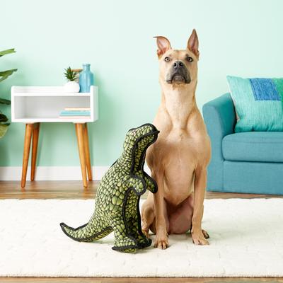 Show full view: Tuffy's T-Rex Dinosaur Plush Dog Toy, T-Rex slide 4 of 11