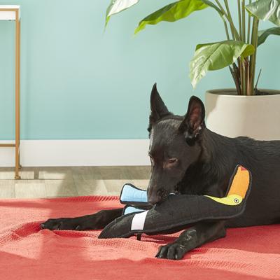 Show full view: Tuffy's Togo Toucan Plush Dog Toy slide 5 of 11