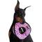 Show in main carousel: Tuffy's Ultimate 4-Way Ring Squeaky Plush Dog Toy, Pink Leopard slide 3 of 8