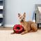 Show in main carousel: Tuffy's Ultimate 4-Way Ring Squeaky Plush Dog Toy, Red Paws slide 4 of 9