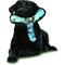 Show in main carousel: Tuffy's Ultimate Bowmerang Squeaky Plush Dog Toy, Camo Blue slide 3 of 12