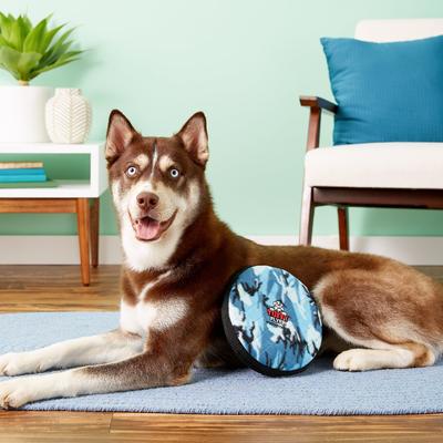 Show full view: Tuffy's Ultimate Flyer Squeaky Plush Dog Toy, Camo Blue slide 5 of 12