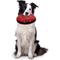 Show in main carousel: Tuffy's Ultimate Flyer Squeaky Plush Dog Toy, Red Paws slide 3 of 11