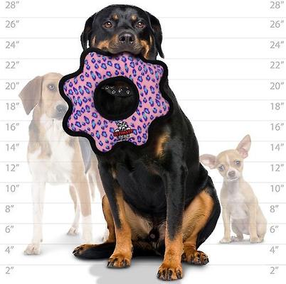 Show full view: Tuffy's Ultimate Gear Ring Squeaky Plush Dog Toy, Pink Leopard slide 6 of 10