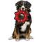 Show in main carousel: Tuffy's Ultimate Gear Ring Squeaky Plush Dog Toy, Red Paws slide 3 of 9