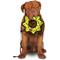 Show in main carousel: Tuffy's Ultimate Gear Ring Squeaky Plush Dog Toy, Yellow Bones slide 3 of 9