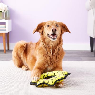 Show full view: Tuffy's Ultimate Gear Ring Squeaky Plush Dog Toy, Yellow Bones slide 4 of 9