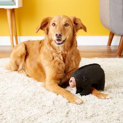 Show full view: Tuffy's Zoo Bear Plush Dog Toy, Jr slide 4 of 7