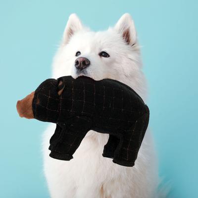 Show full view: Tuffy's Zoo Bear Plush Dog Toy, Regular slide 3 of 7