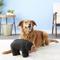 Show in main carousel: Tuffy's Zoo Bear Plush Dog Toy, Regular slide 4 of 7