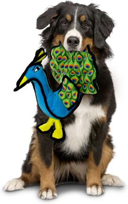 Show full view: Tuffy's Zoo Peacock Squeaky Plush Dog Toy slide 3 of 10