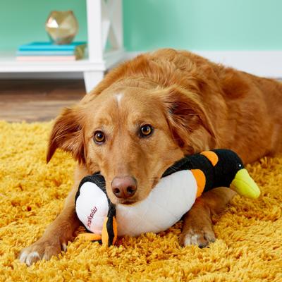 Show full view: Tuffy's Zoo Penguin Peabody Plush Dog Toy slide 5 of 11