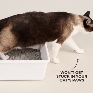 tuft + paw Really Great Cat Litter Unscented Low-Tracking, Flushable Tofu Cat Litter, 9.25-lb bag