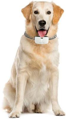 Show full view: TUG Rechargeable Waterproof Dog Bark Collar, White slide 8 of 10