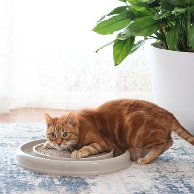 Show full view: Turbo Cat Scratcher Eco Toy with Catnip, Grey slide 2 of 10