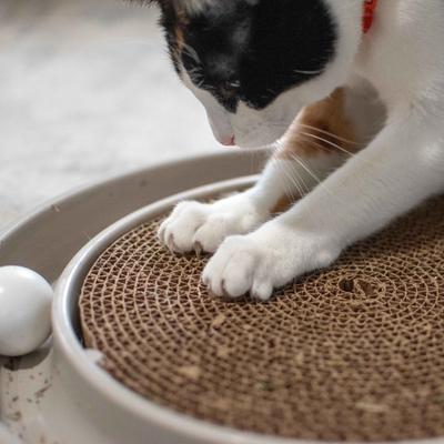 Show full view: Turbo Cat Scratcher Eco Toy with Catnip, Grey slide 6 of 10