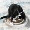 Show in main carousel: Turbo Cat Scratcher Eco Toy with Catnip, Grey slide 7 of 10