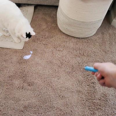 Show full view: Turbo Fish Projection LED Pointer Cat Toy slide 5 of 8