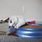 Show in main carousel: Turbo Natural Cat Chew Toy with Catnip, Candy, 2 count slide 3 of 3