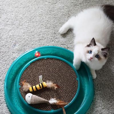 Show full view: Turbo Replacement Twinkle Ball Cat Toy, Color Varies slide 4 of 6