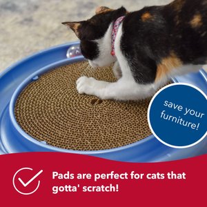 Turbo Scratcher Replacement Pads, 2 count