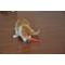 Show in main carousel: Turbo Whirly Pop Cat Toy with Catnip slide 7 of 10