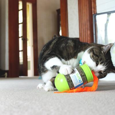Show full view: Turbo Wobble Bottle Cat Toy with Catnip slide 5 of 8