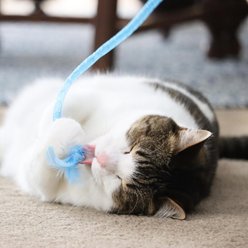 Turbo Wood Wand Cat Toy, Blue slide 2 of 9