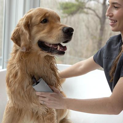 Show full view: Tweezerman 2-in-1 Shampoo Dispenser & Bath Massage Dog & Cat Brush, Grey slide 8 of 12