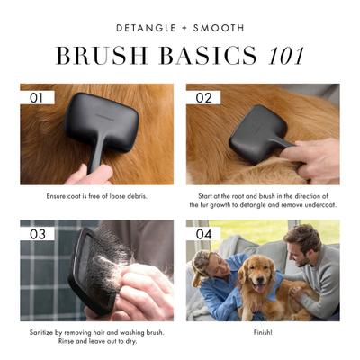 Show full view: Tweezerman Coated Tip Ergonomic Handle Cat & Dog Slicker Brush, Black, Large slide 8 of 12