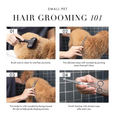 Show full view: Tweezerman Stainless Steel Curved Dog & Cat Grooming Shears, 7-in slide 9 of 11