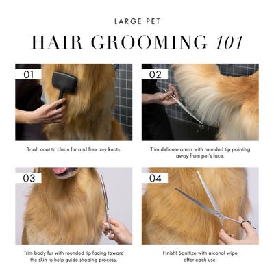 Show full view: Tweezerman Stainless Steel Curved Dog & Cat Grooming Shears, 9-in slide 9 of 11