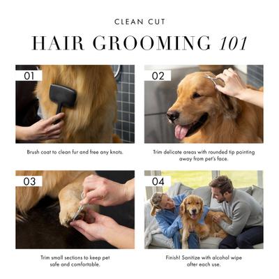 Show full view: Tweezerman Stainless Steel Dog & Cat Safety Tip Trimming Scissors slide 8 of 11