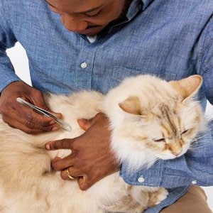 Tweezerman Stainless Steel Portable Tick Removal Tweezer for Cats & Dogs