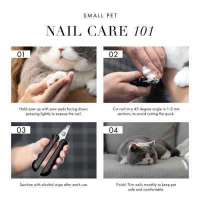 Show full view: Tweezerman Professional Trimmer Stainless Steel Cat & Dog Nail Clipper, Small slide 8 of 11