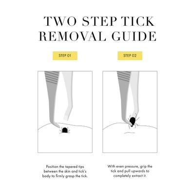 Show full view: Tweezerman Stainless Steel Portable Tick Removal Tweezer for Pets slide 6 of 11