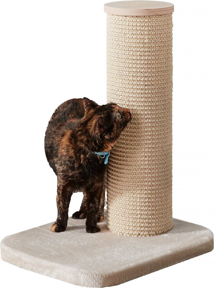 Two By Two City Cat Deluxe European 24-in Faux-Fur Cat Scratching Post
