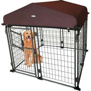 Two By Two Dog Kennel, Black Diamond, 48-in
