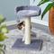 Show in main carousel: Two By Two The Basswood 20.5-in Plush Cat Tree & Condo, Grey, Small slide 1 of 10