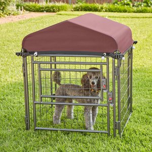 Two By Two The Hangout Expandable Steel Dog Kennel, Small, Black