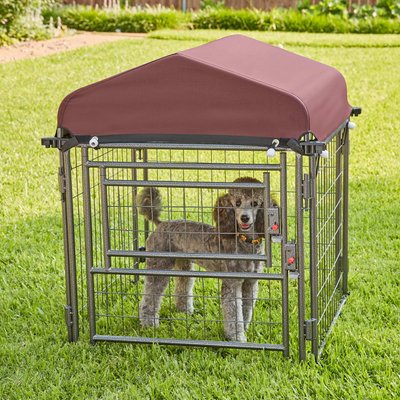 Two By Two Two By Two The Hangout Expandable Steel Dog Kennel, Small, Black