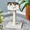 Show in main carousel: Two By Two The Milkwood 20.5-in Plush Cat Tree & Condo, Cream, Small slide 1 of 10