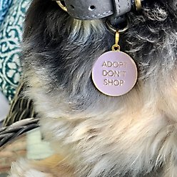 Two Tails Pet Company Adopt Don't Shop Brass Non-Personalized Dog & Cat ID Tag, Pink slide 2 of 3