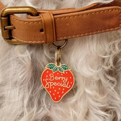 Two Tails Pet Company Berry Special Brass Non-Personalized Dog & Cat ID Tag, Red slide 2 of 4