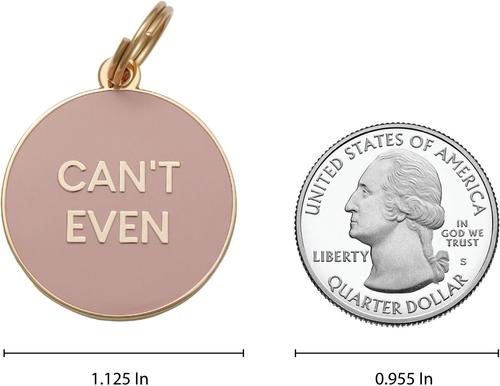 Show full view: Two Tails Pet Company Can't Even Brass Non-Personalized Dog & Cat ID Tag, Pink slide 3 of 3