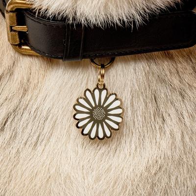 Show full view: Two Tails Pet Company Daisy Brass Non-Personalized Dog & Cat ID Tag, White slide 2 of 6